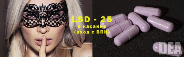 ECSTASY Богданович